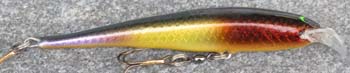 lappia vaaput_taimen 11cm--ML 47 RL