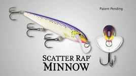 scatter minnow 