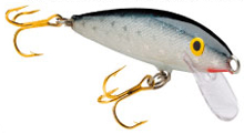 lauri_rapala_anniversary_original