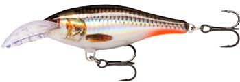 rapala scatter shad rap deep ROHL