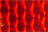 wtp tape decor 3625 prisme  rød