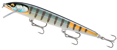 rapala floater elite 12cm GDBG head